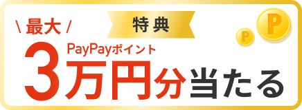新年度応援キャンペーン 最大30000円分のPayPayポイントが当たる 詳しくはこちら